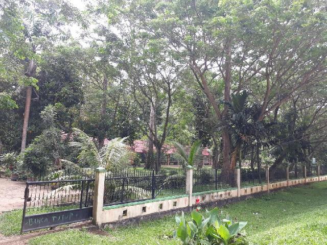 Hutan Kota di Pulau Bungin Teluk Kuantan Dijadikan Tempat Mesum